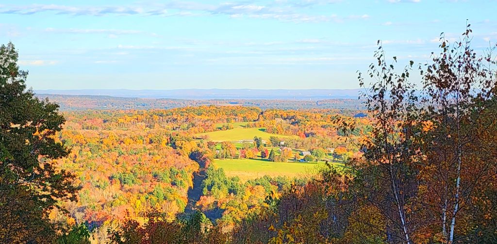 aerial view of woods in the fall