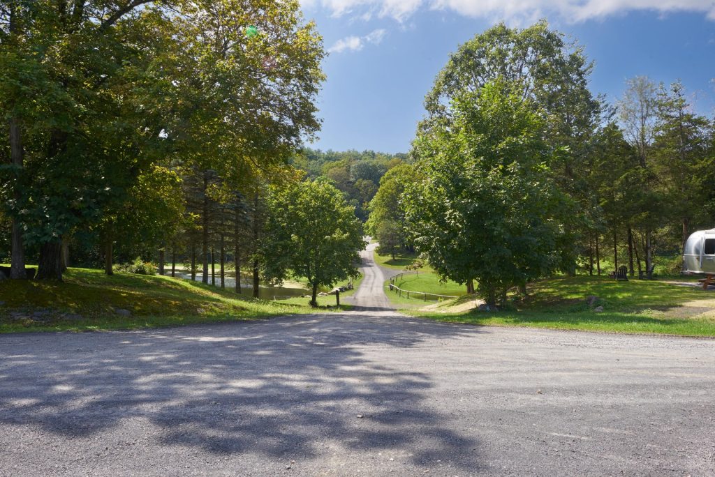 roads and trees within campground